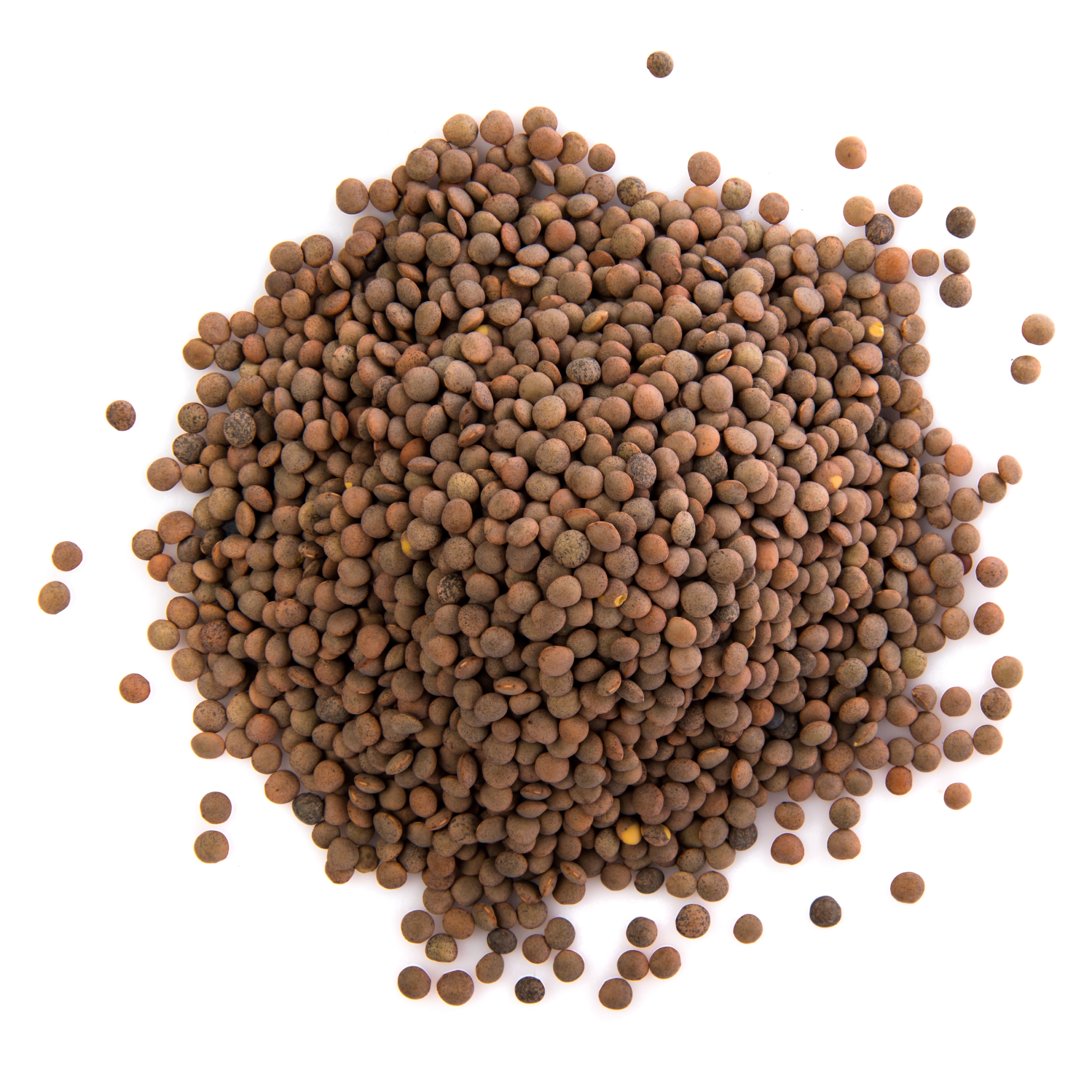 Masoor Dal