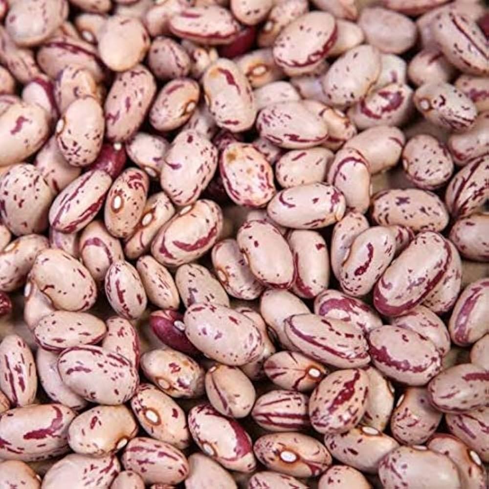 Rajma Chitra